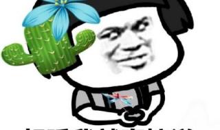 我同意老公睡了我妈可以吗