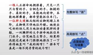 六年级上册《多彩的活动》