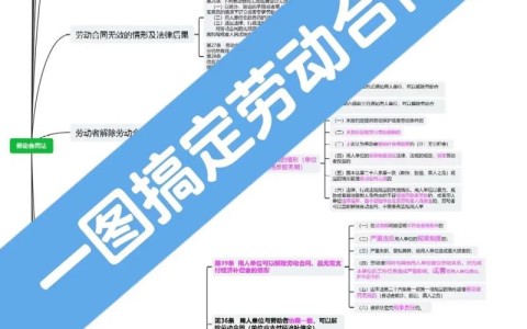 劳动合同法（劳动合同法全文完整版）