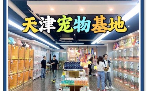 社区宠物托儿所（宠物托儿所市场）