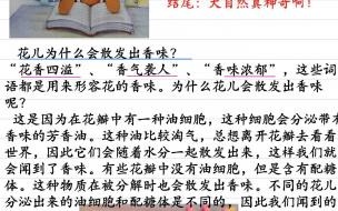 写话大自然真奇妙怎么写 大自然真奇妙写话二年级