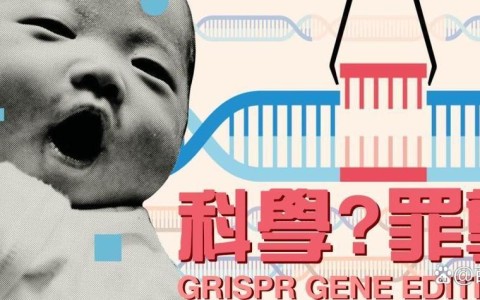 基因编辑（基因编辑婴儿）