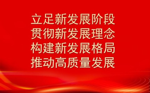 新发展阶段（新发展阶段指的是什么阶段）