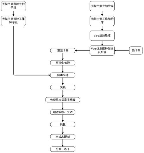 疫苗研发流程（疫苗研发流程图）