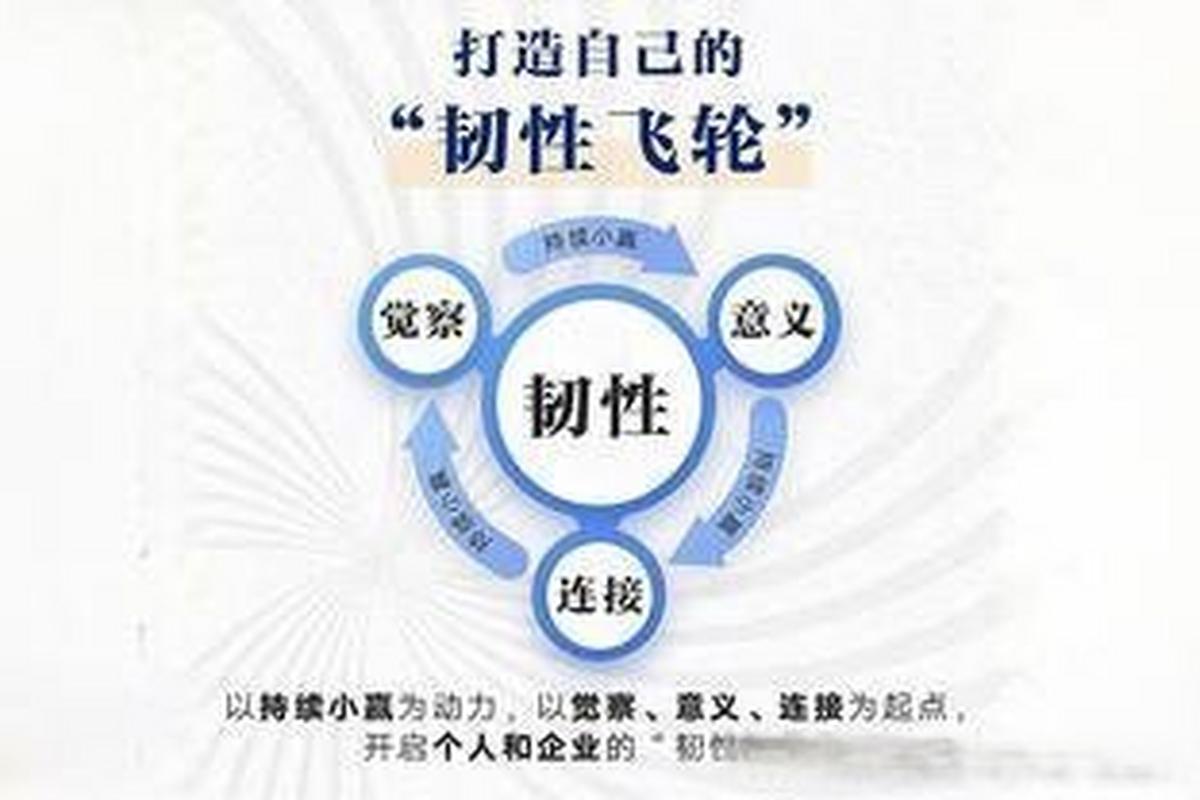 组织韧性建设（组织韧性是什么意思）