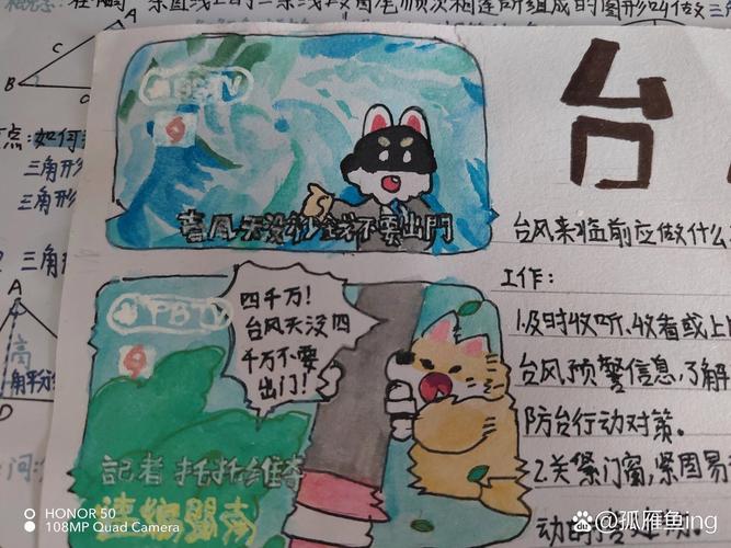 台风应对（台风应对指南手抄报）