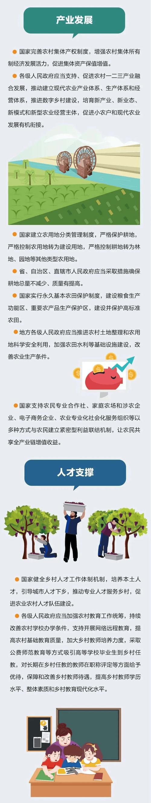 乡村振兴（乡村振兴促进法）