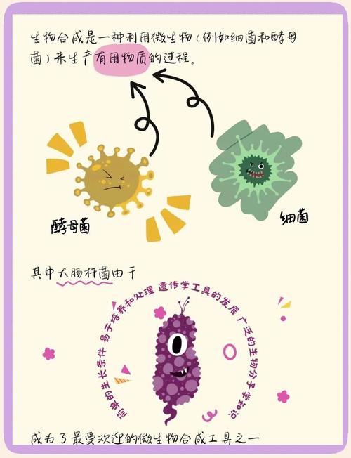 合成生物学（合成生物学专业）
