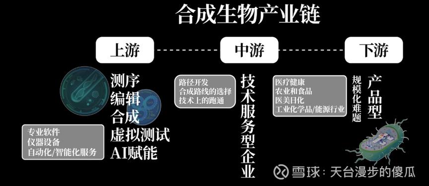 合成生物学（合成生物学专业）