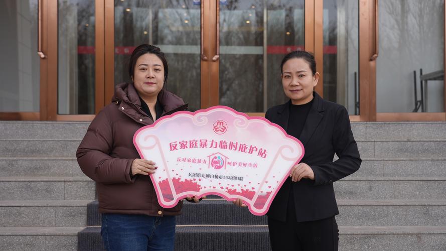家暴庇护所闲置（家庭暴力临时庇护所制度）