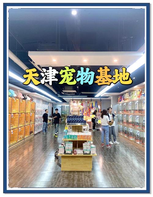 社区宠物托儿所（宠物托儿所市场）