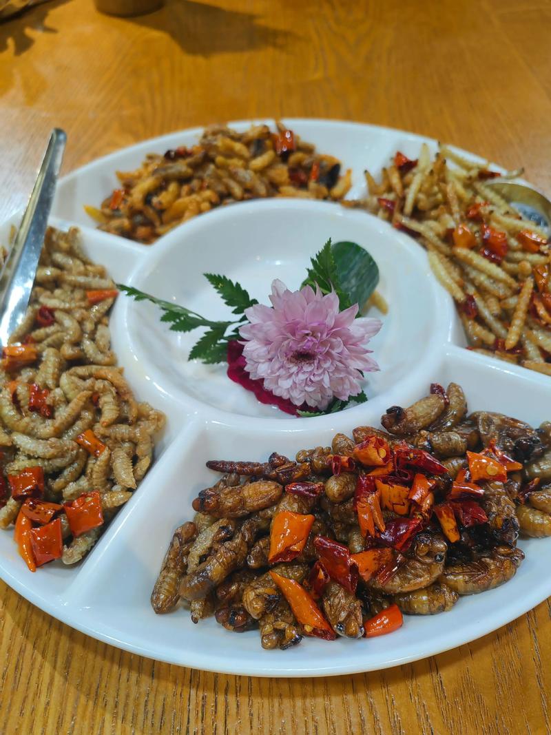 昆虫美食节试吃（昆虫类美食）