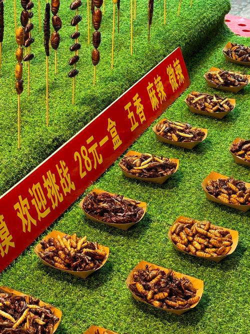 昆虫美食节试吃（昆虫类美食）