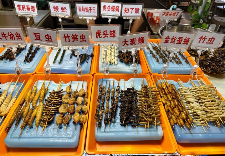 昆虫美食节试吃（昆虫类美食）