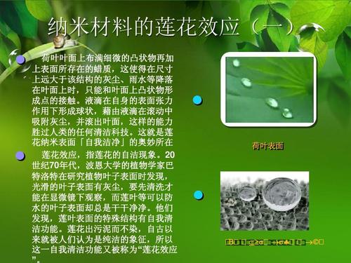纳米技术应用（纳米技术应用在生活中的例子）