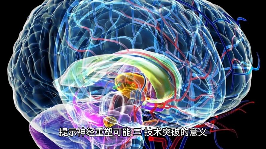 脑机接口伦理（脑机接口伦理争议事件有哪些）